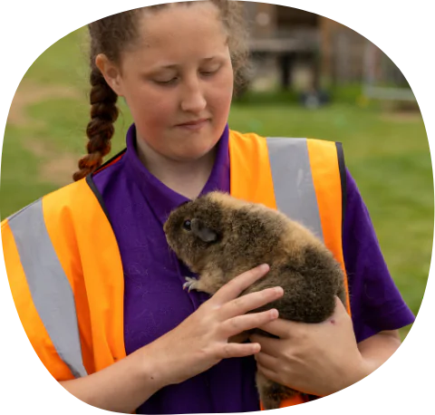 Girl and Guinea Pig
