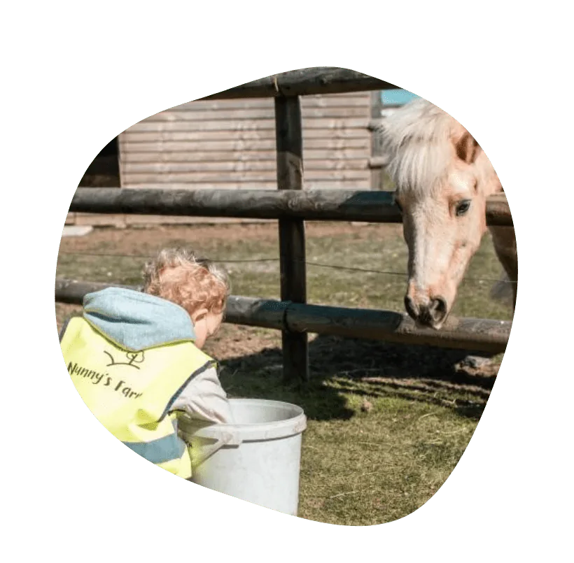 Animal Experiences - Image 3