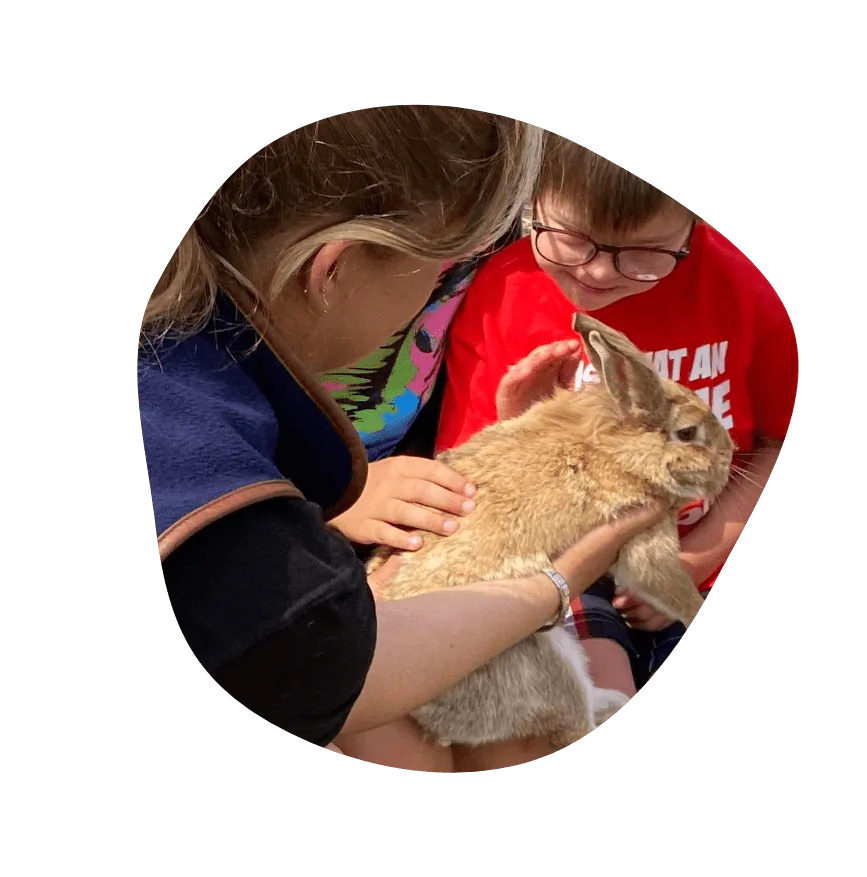 Animal Experiences - Image 4