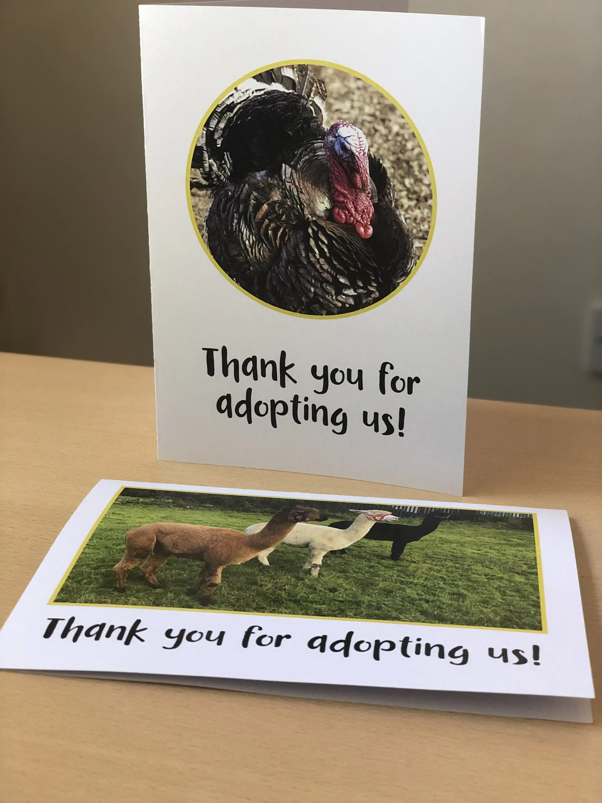 Animal Adoption 1yr